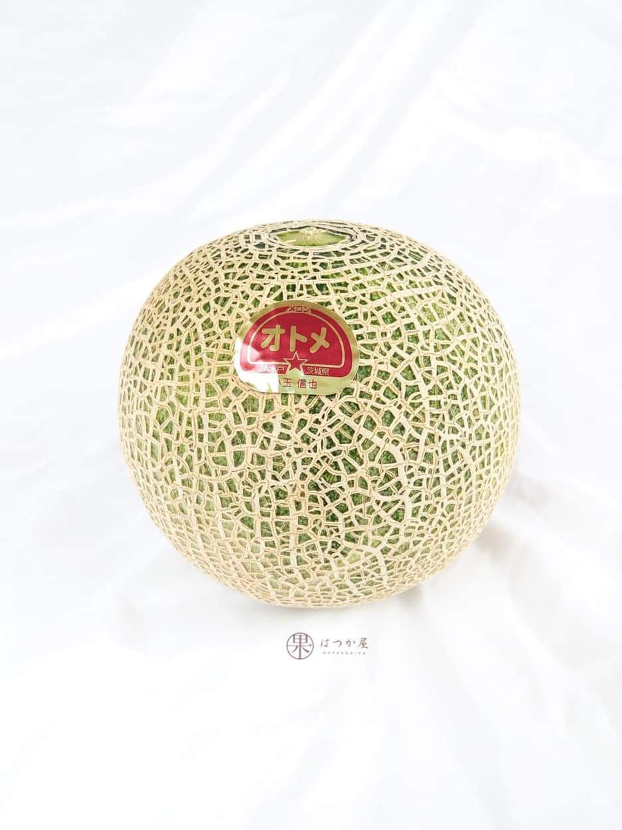 JP Ibaraki Otome Melon HatsukaYa