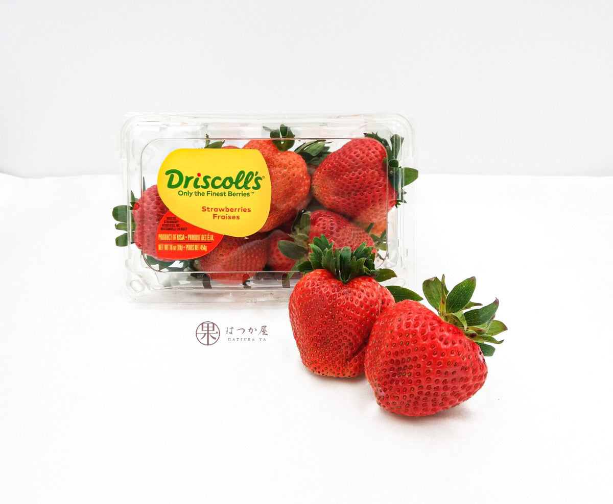 US Driscoll Jumbo Strawberries HatsukaYa