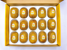 Load image into Gallery viewer, NY35 New Zealand Sungold Kiwi  15'
