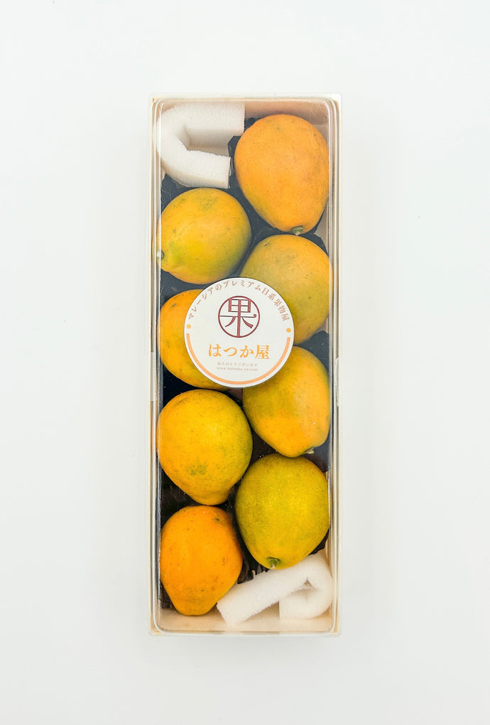 CN Premium Kumquat (Self-pack)