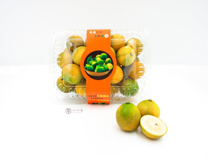 CN Crispy Kumquat