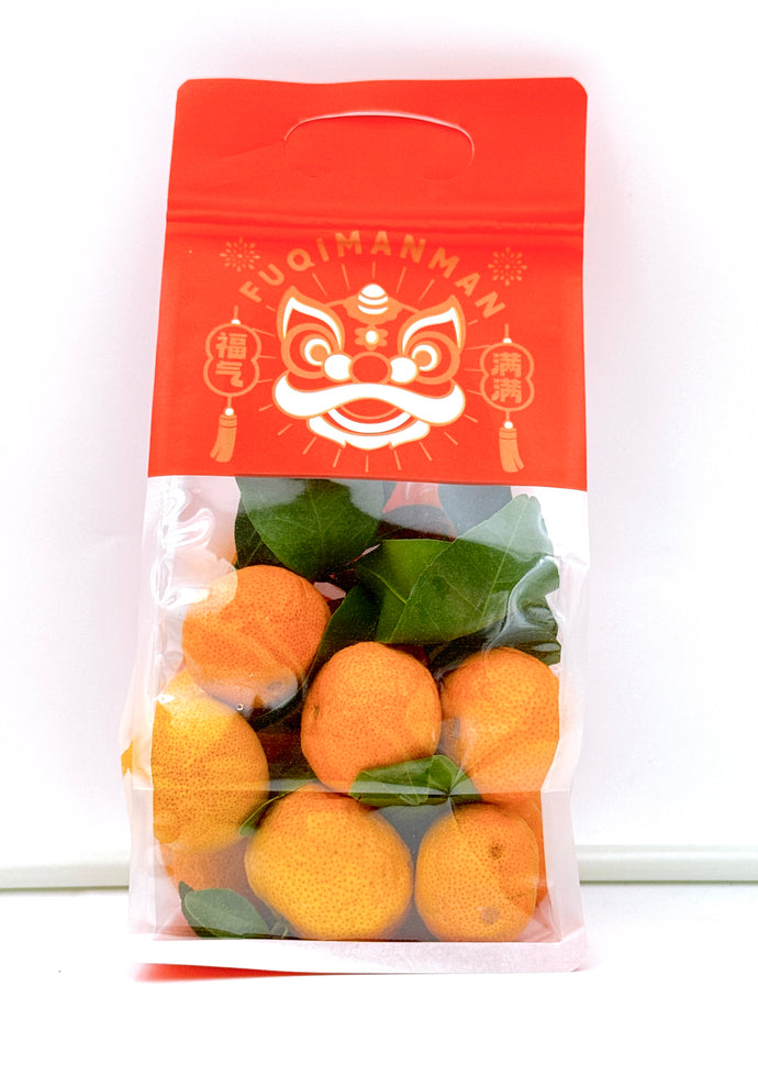 NY55 Mini Handcarry Bag ( Sha Tang Mandarin ) 500gm