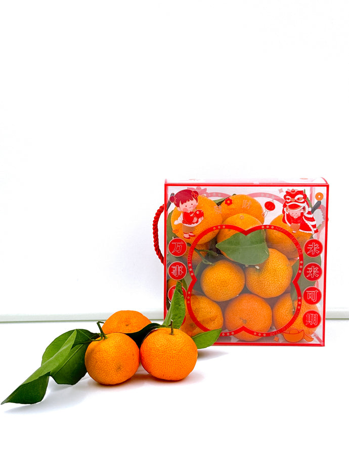 NY50 Mini Handcarry Box ( Sha Tang Mandarin ) 500gm