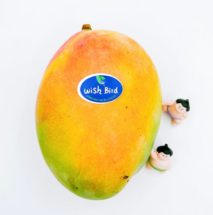 CN Hainan Mango