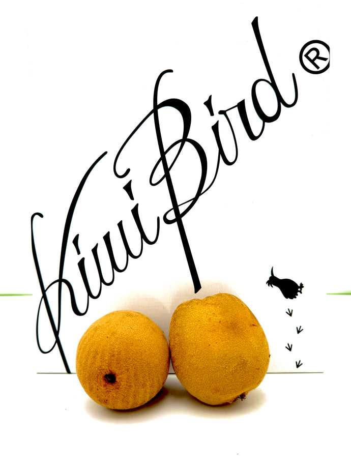 JP Kagawa Kiwi Bird Sanuki Gold