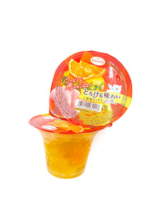 JP TARAMI Fruits Torokeru Jelly ( Mixed Fruits )