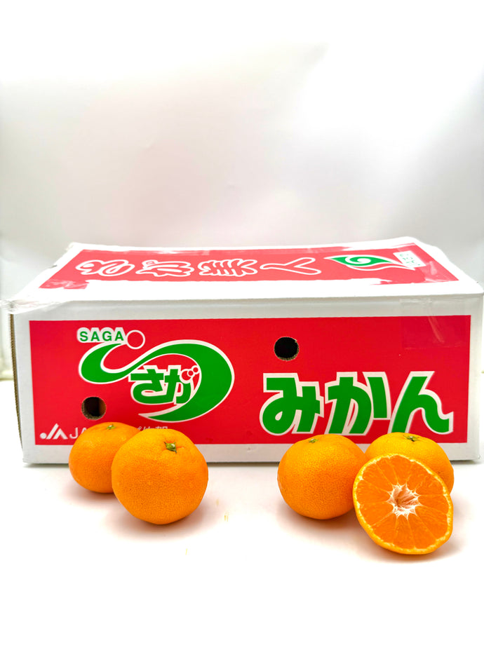 JP Saga Bijin Mikan