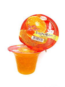 JP TARAMI Fruits Torokeru Jelly ( Mikan Mandarine )