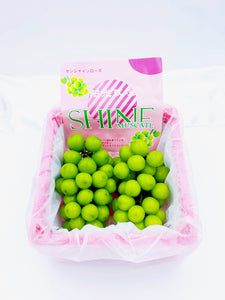 CN Shine Muscat (Small Pack)