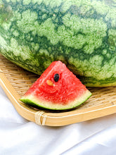 Load image into Gallery viewer, TH Watermelon Mini Thai
