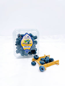 ZB AfricanBlue Blueberries