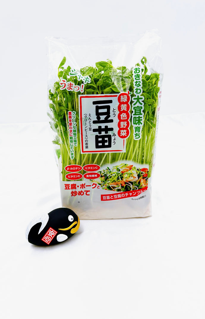 JP Okinawa Pea Sprout