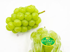 JP Okayama Seto Giants Grapes