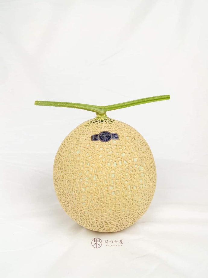 JP Shizuoka Crown Melon