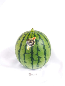 JP Gunma Yabuzuka Kodama Watermelon