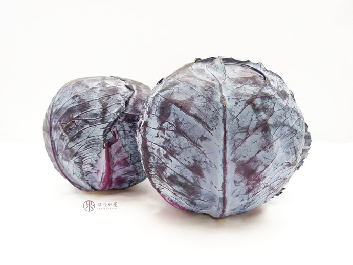 CN Purple Cabbage S