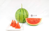 MY Kotama Watermelon