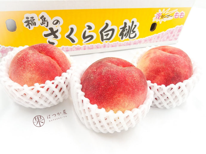 JP Fukushima Sakura Peach