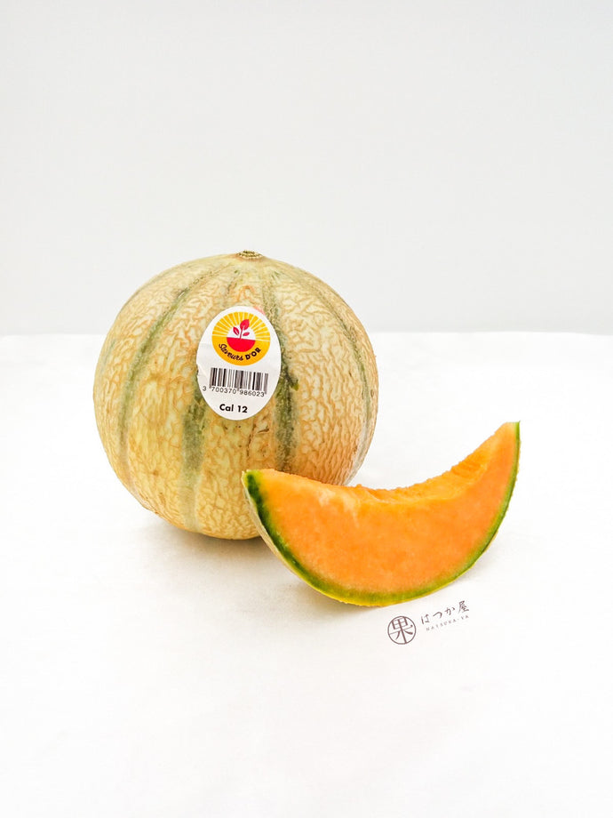 FR Cantaloupe Melon