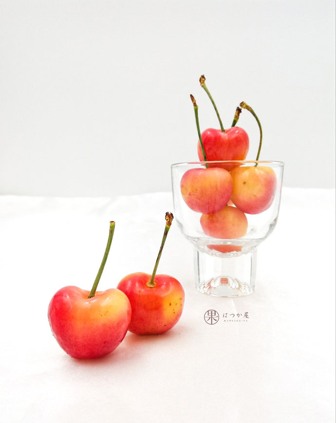 CL Rainier White Cherry