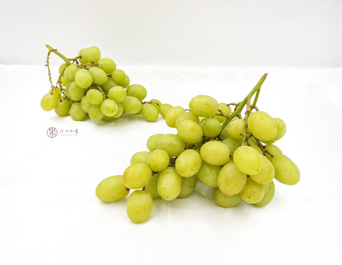 PE Sweet Globe Green Grapes