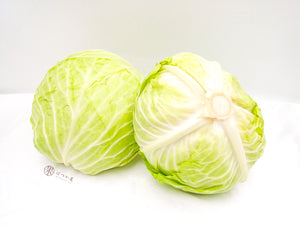 MY Japanese House Cabbage S