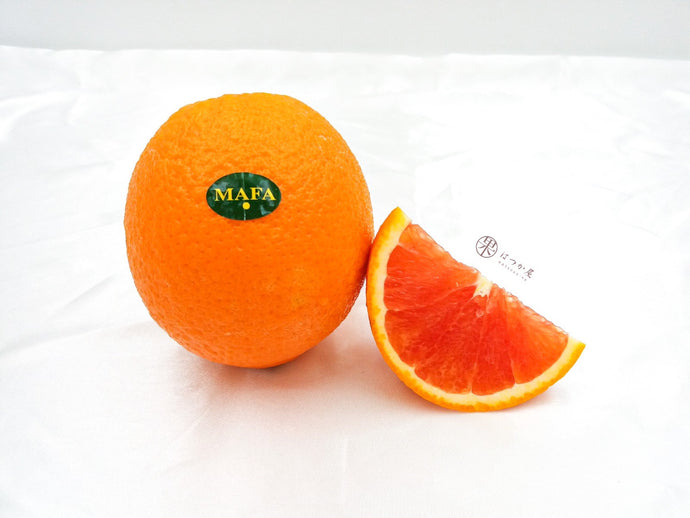 EG Cara Cara Orange