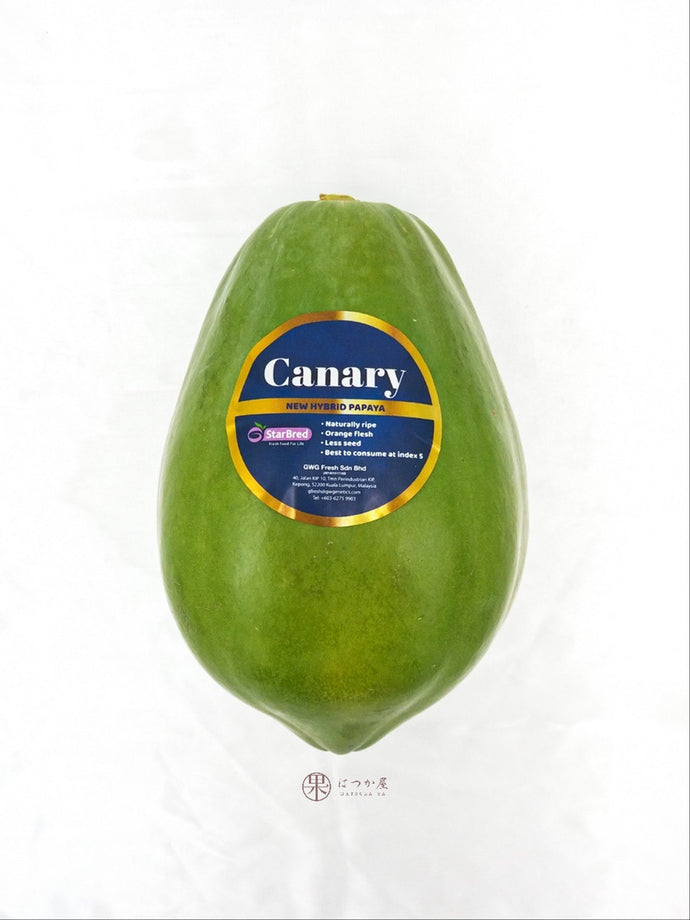 MY Canary Papaya XL