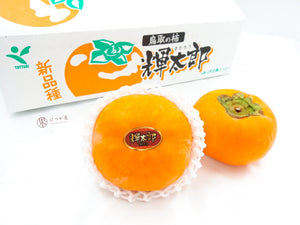 JP Tottori Kitarou Persimmon