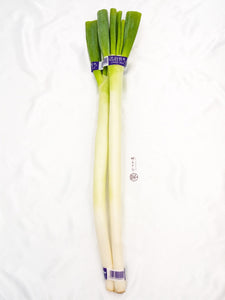 JP Hokkaido Leek