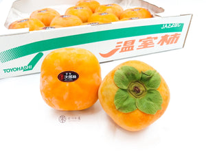 JP Aichi House Jiro Persimmon 2L