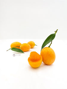 TH Kundang ( Loquat )