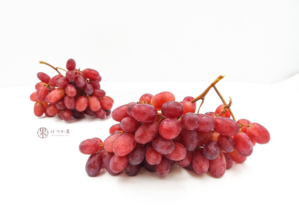 GRARED18#FL | Red Seedless Grape (18#)