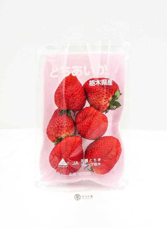 JP Tochigi Tochiaika Strawberry