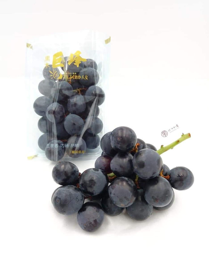 JP Fukuoka Kyoho Grapes