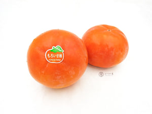 CN Persimmon XL