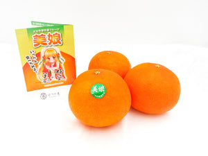 JP Oita Amakusa Miko Mikan Mandarine