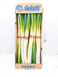 JP Oita Leek