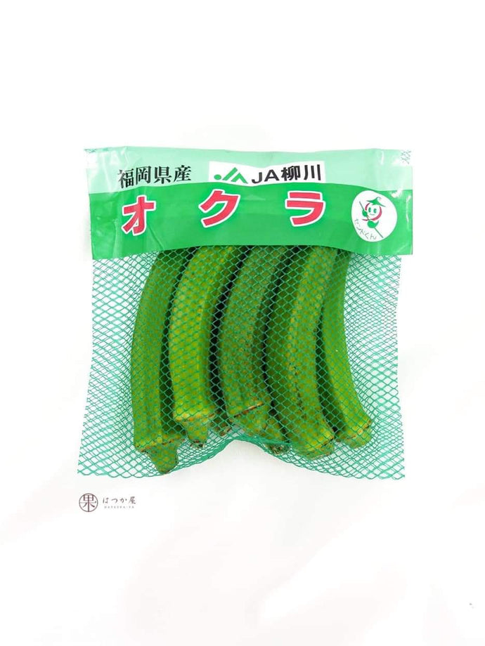 JP Fukuoka Okra