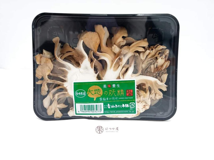 JP Nagasaki Maitake Mushroom