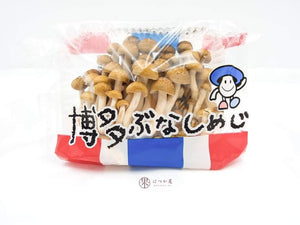 JP Hakata Shimeji Mushroom