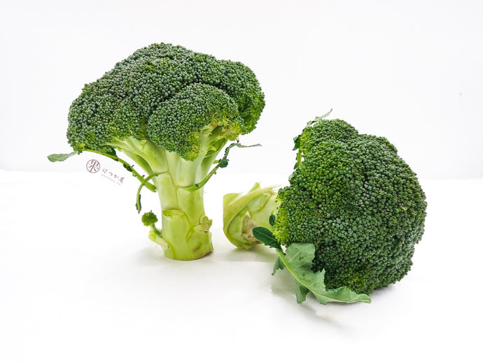 AU Broccoli XS