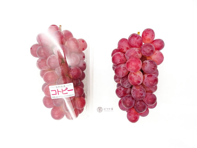 JP Nagano Kotopi Grapes