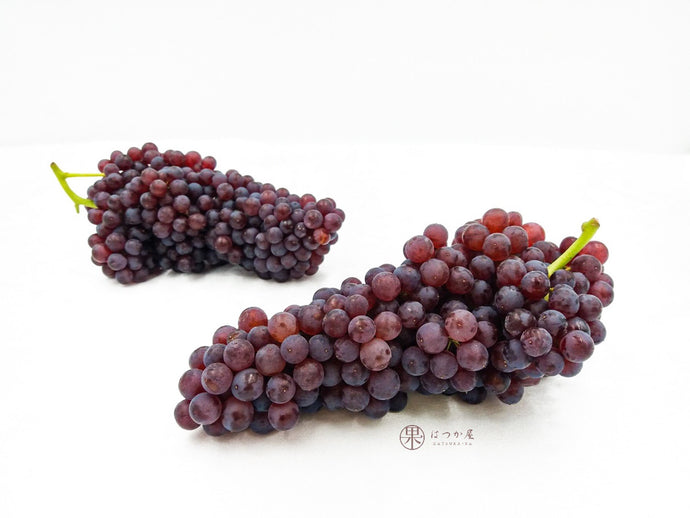 AU Champagne Grapes