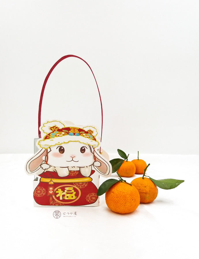 NY21 Mini Handcarry Sha Tang Mandarine  500gm