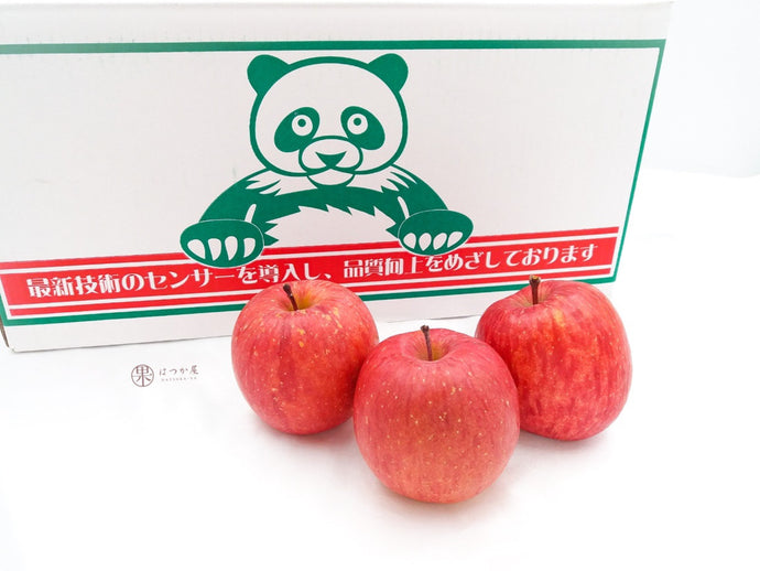 JP Aomori Sunfuji Apple