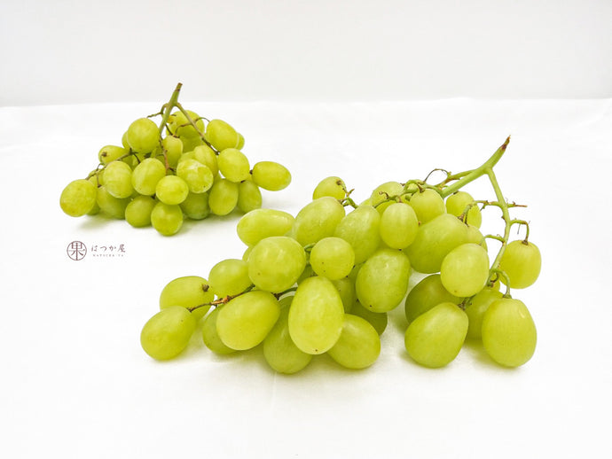 SA Prime Seedless Green Grapes