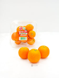 JP Miyazaki Kumquat