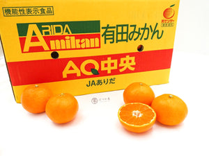 JP Wakayama Arida Wase Mikan Mandarin