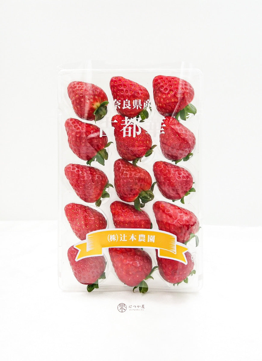 kotoka strawberry seeds JP Nara Kotoka Strawberry – Hatsuka-Ya